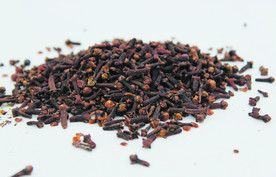 丁香  香料   食物原料