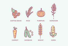 蔬菜剪影矢量图图片