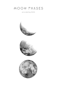 装饰画