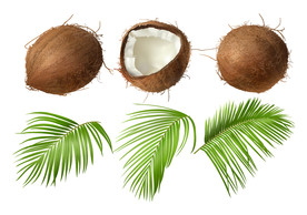椰子 水果 蔬菜