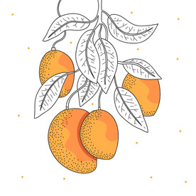 芒果 水果 蔬菜