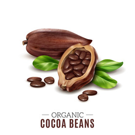 巧克力 水果 蔬菜