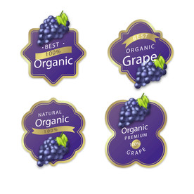 葡萄 水果 蔬菜