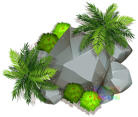 植物顶视图