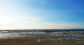 蓝天滩涂沙滩岸边