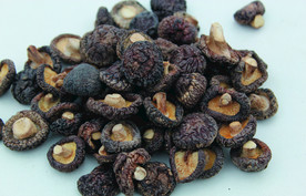 香菇    蘑菇    干货