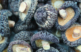 香菇    蘑菇    干货