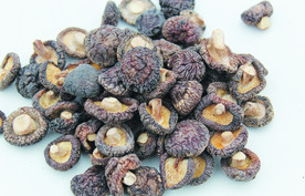 香菇    蘑菇    干货