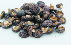 香菇    蘑菇    干货