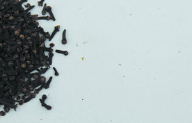 丁香  香料   食物原料