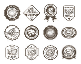 榴莲 水果 蔬菜