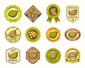 榴莲 水果 蔬菜