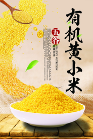 黄小米海报