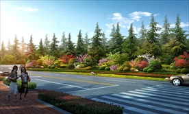 市政道路路口节点绿化景观鸟瞰