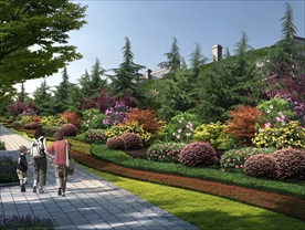 市政道路路口节点绿化景观鸟瞰