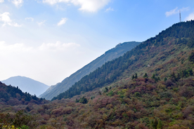 衡山