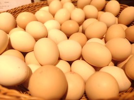鸡蛋
