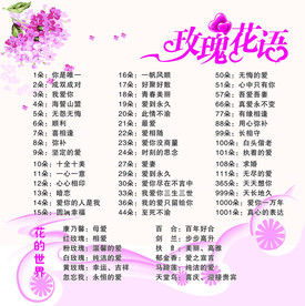 玫瑰花语