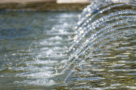 水花