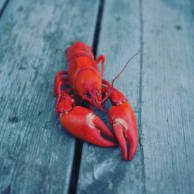 龙虾