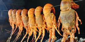 龙虾