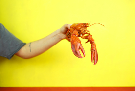 龙虾
