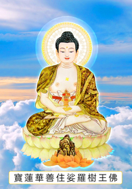 八十八尊-宝莲华善住娑罗树王佛