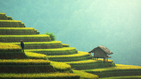 风景