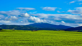 风景