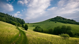 风景