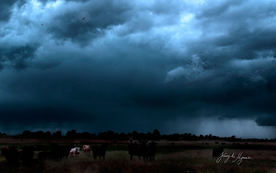 风景