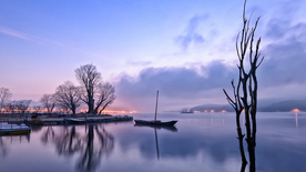 风景