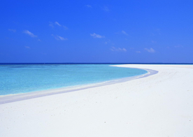 风景