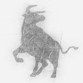 牛素描