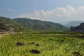 山川脚下的梯田