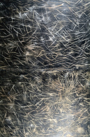 黑金色底纹 艺术抽象 装饰画