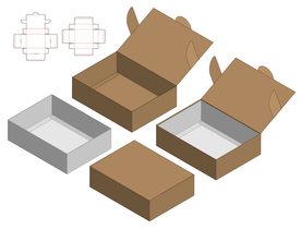 简易翻盖式内衬卡扣纸盒包装