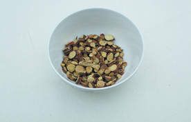 甘草   香料   食物香料