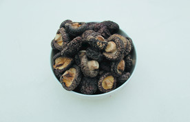 白芷    香料   食物原料