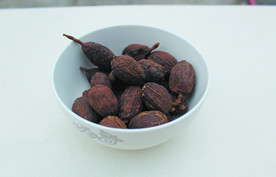 草果   香料   食物原料