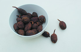 草果  香料  食物原料