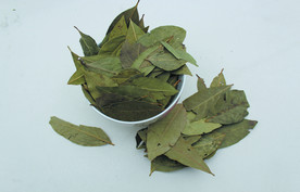 香叶   香料   食物原料