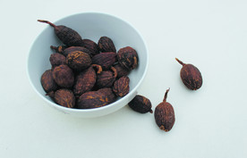 草果  香料  食物原料