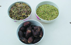 香果   茴香   香草