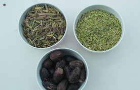 香果   茴香   香草