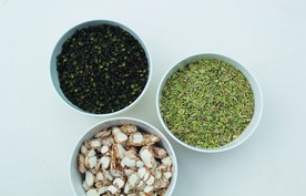 茴香   花椒   三奈