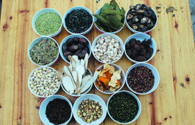 青花椒   红花椒   三奈