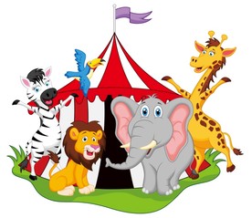 动物合影 上拾陆