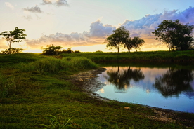 瓜德罗普岛风景