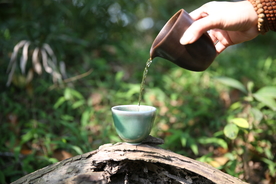 茶